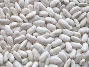 white kidney beans