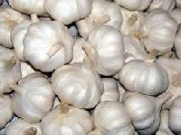 Garlic,  Packaging Size : 20 Kg