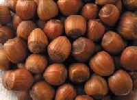 Hazelnut