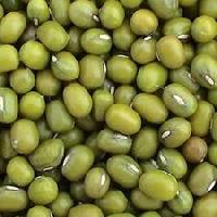 Organic Mung Bean
