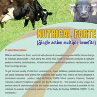 NUTRICAL FORTE, Poultry Feed Supplement
