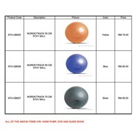 Nordictrack Stay Ball