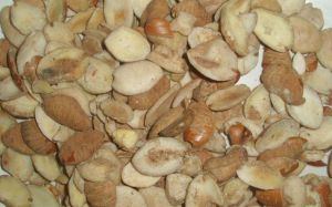 Irvingia Gabonensis ( African Mango Seed) Add To My Favorites Irvingia Irvingia Gabonensis