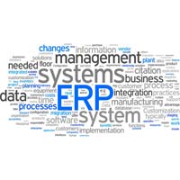 Web Based Erp Software