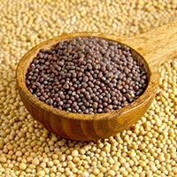 Black Mustard Seeds (Sarso)