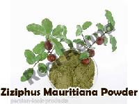 Ziziphnus Mauritiana Powder