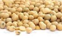 Soya Beans