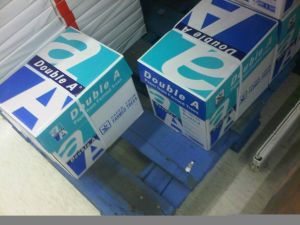 Paper & Paper Products