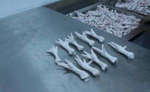 frozen chicken feet
