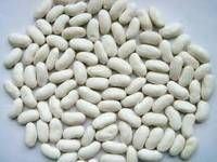 white kidney beans