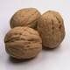 walnuts