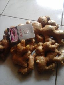 ginger,  Quality Available :A Grade