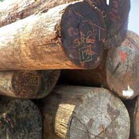 Kwila Wood Logs