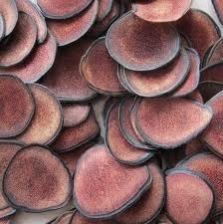 Natural Deer Velvet Antler Extract