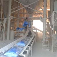Fully Automatic Bag Packing Plant