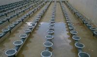 aeration diffusers