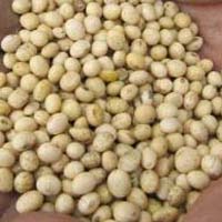 Soybeans Seeds