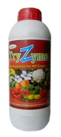 Try Zyme Plant Growth Promoter