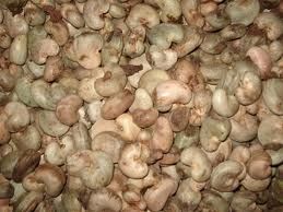 raw cashew nut, Brand Name : VETTIER