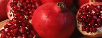 pomegranate fruit