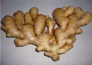 Air Dried Ginger