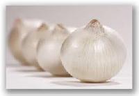 Fresh White Onion 1