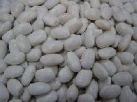 Crop Navry White Beans