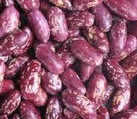 Crop Purple Red Kidney Beans