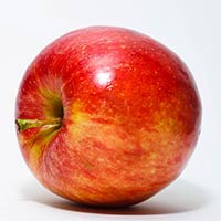 indian apple