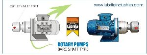 Leading Rotary Pump