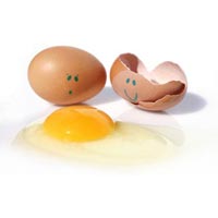 Omega 3 Eggs