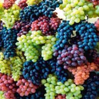 Grapes Micronutrients
