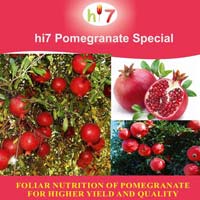 Pomegranate Micronutrients