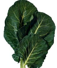 leaf vegetables