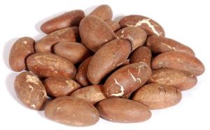 Bitter Kola Nuts