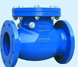 Swing Check Valve