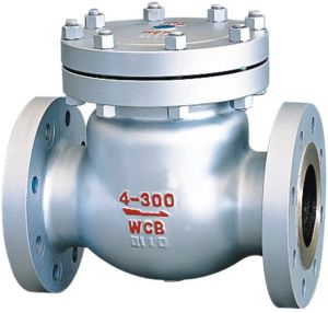 Check Valves