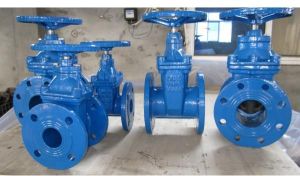 Ductile Iron Gate Valve
