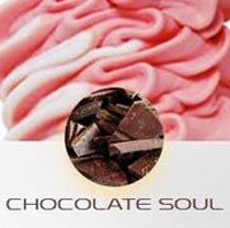Chocolate Soul Ice Cream