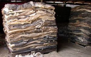 Air Dried Sheep Skins
