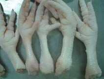 frozen chicken feet,  Packaging Type : Box, Carton, Plastic Bags