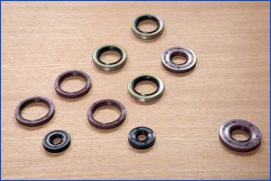 Oil Seals