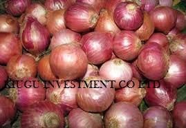 Onions