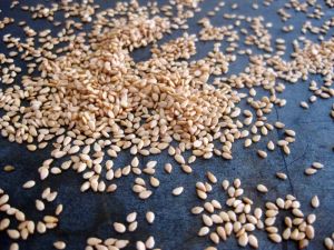 Sesame Seeds