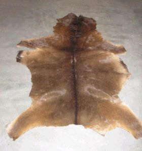 Horse Hide