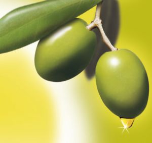 olive oil,  Material : Ripe Olive