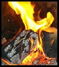 biomass briquette