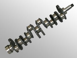 Weichai Diesel Engine Spare Parts