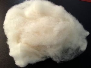 Dehaired (Combed) Wool
