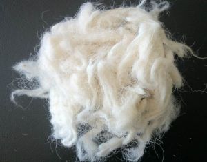 Mongolian Scoured Wool